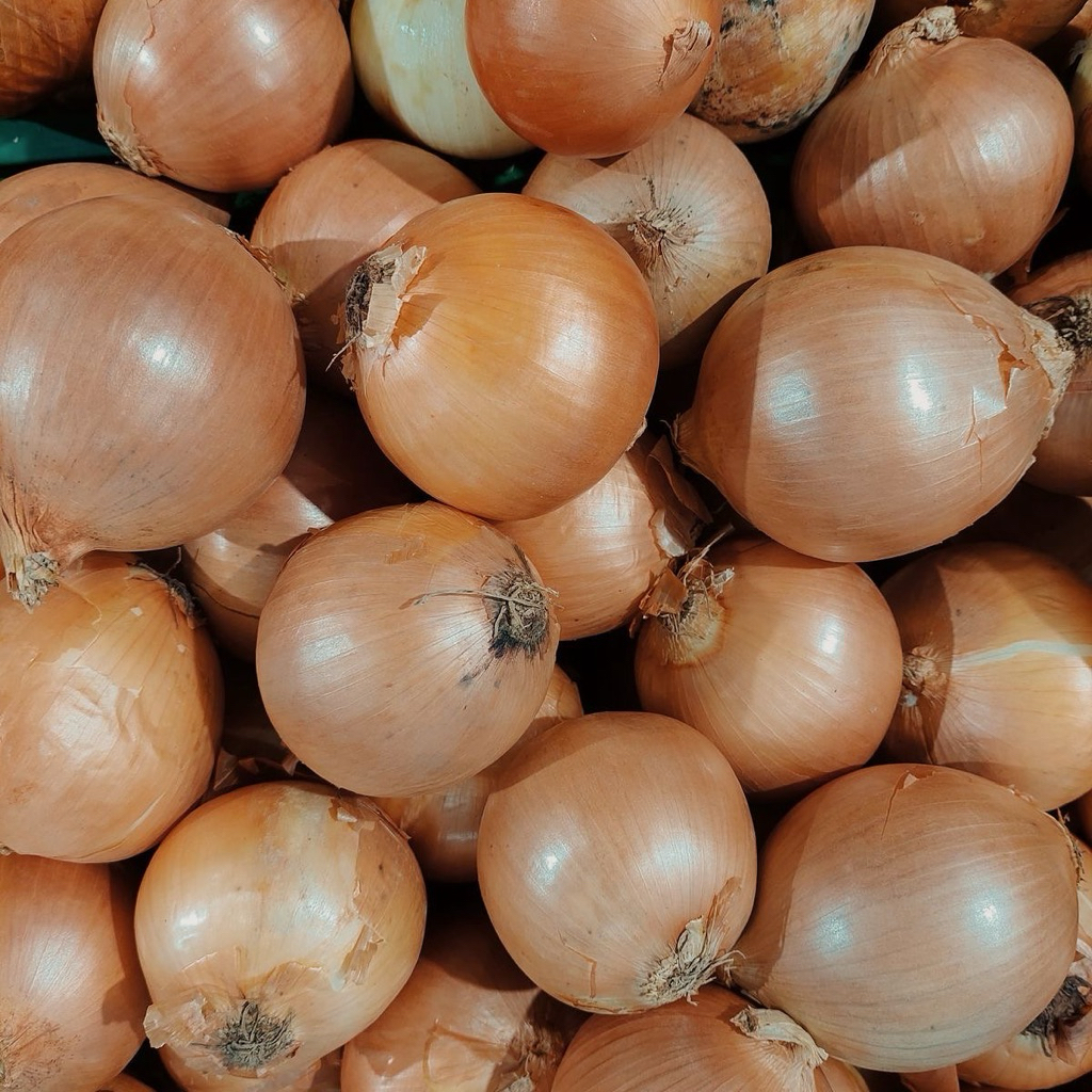 

Bawang Bombay Premium – Besar & Wangi