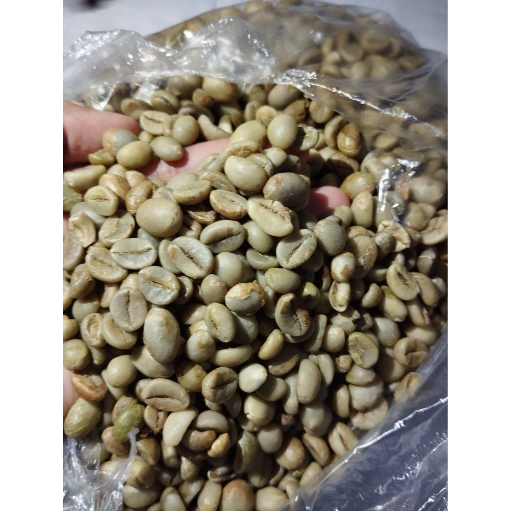 

KOPI BIJI PREMIUM// Kopi ROBUSTA// Langsung dari Petani