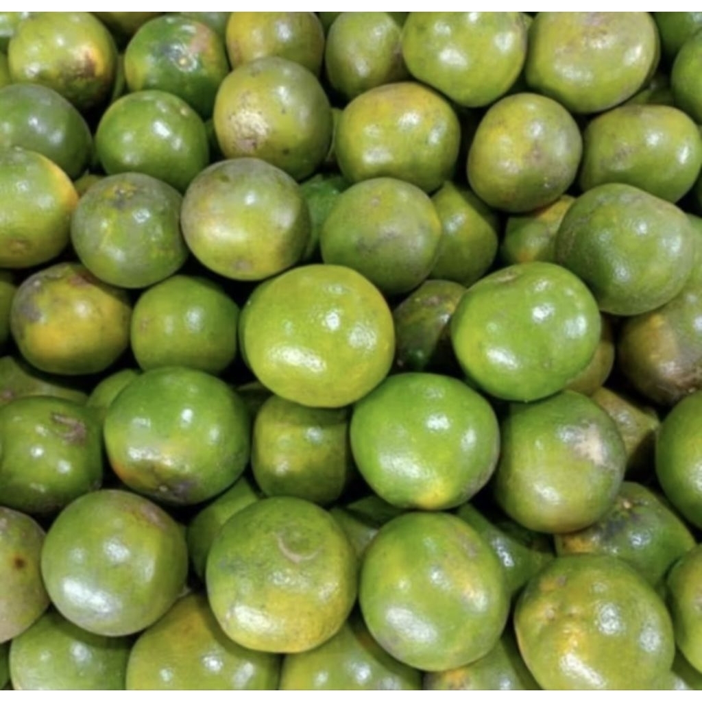 

JERUS PERAS SUPERAN 1 KG