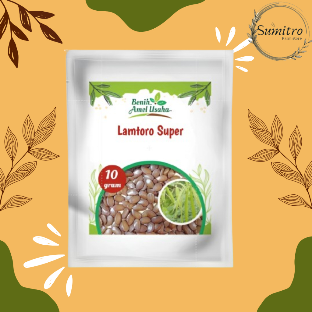 bibit benih lamtoro super isi 10 gram / benih lamtoro cepat tumbuh / benih pertai cina