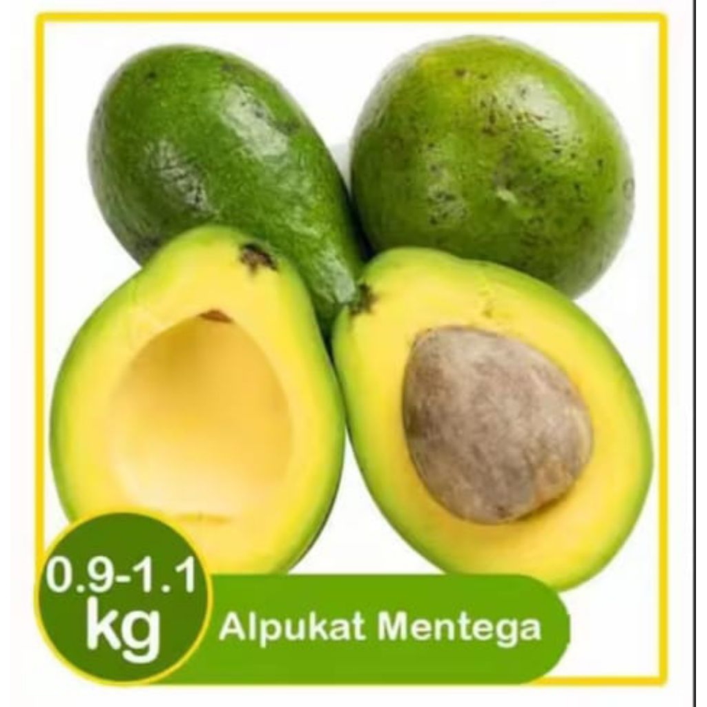 

alpukat mentega kuning tidak beserat Fress 1.kg/ murah berkualitas isi -5-6-7 buah