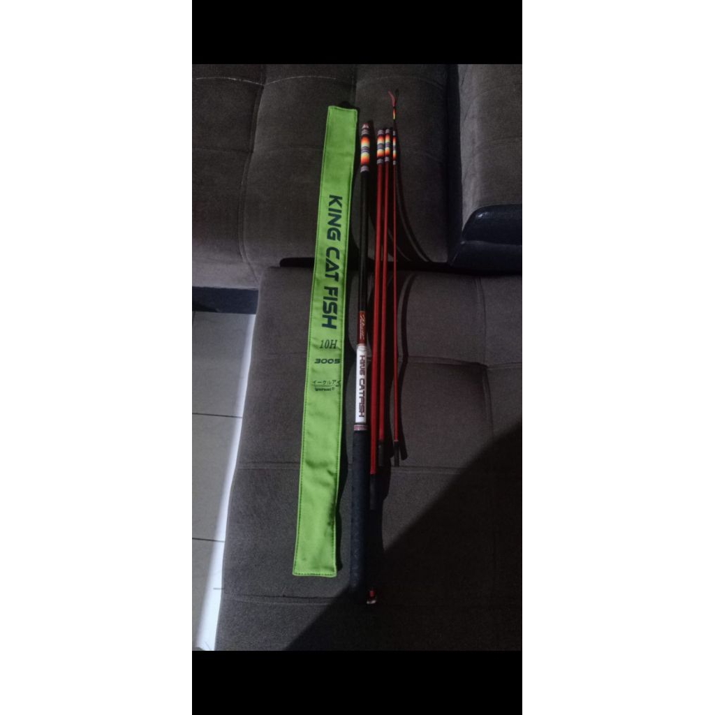 KING CAT FISH IGURUAI