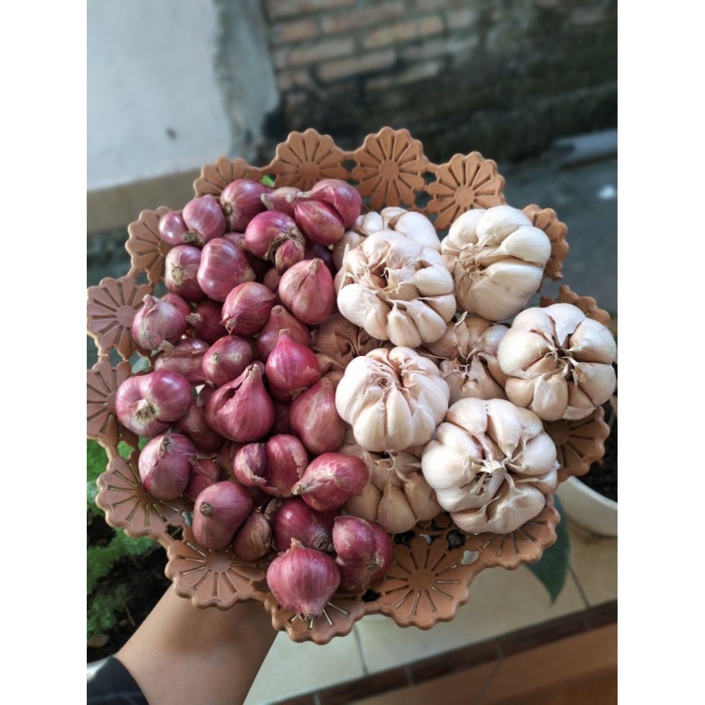 

Paket Bawang Merah Bawang Putih Sinco 1Kg