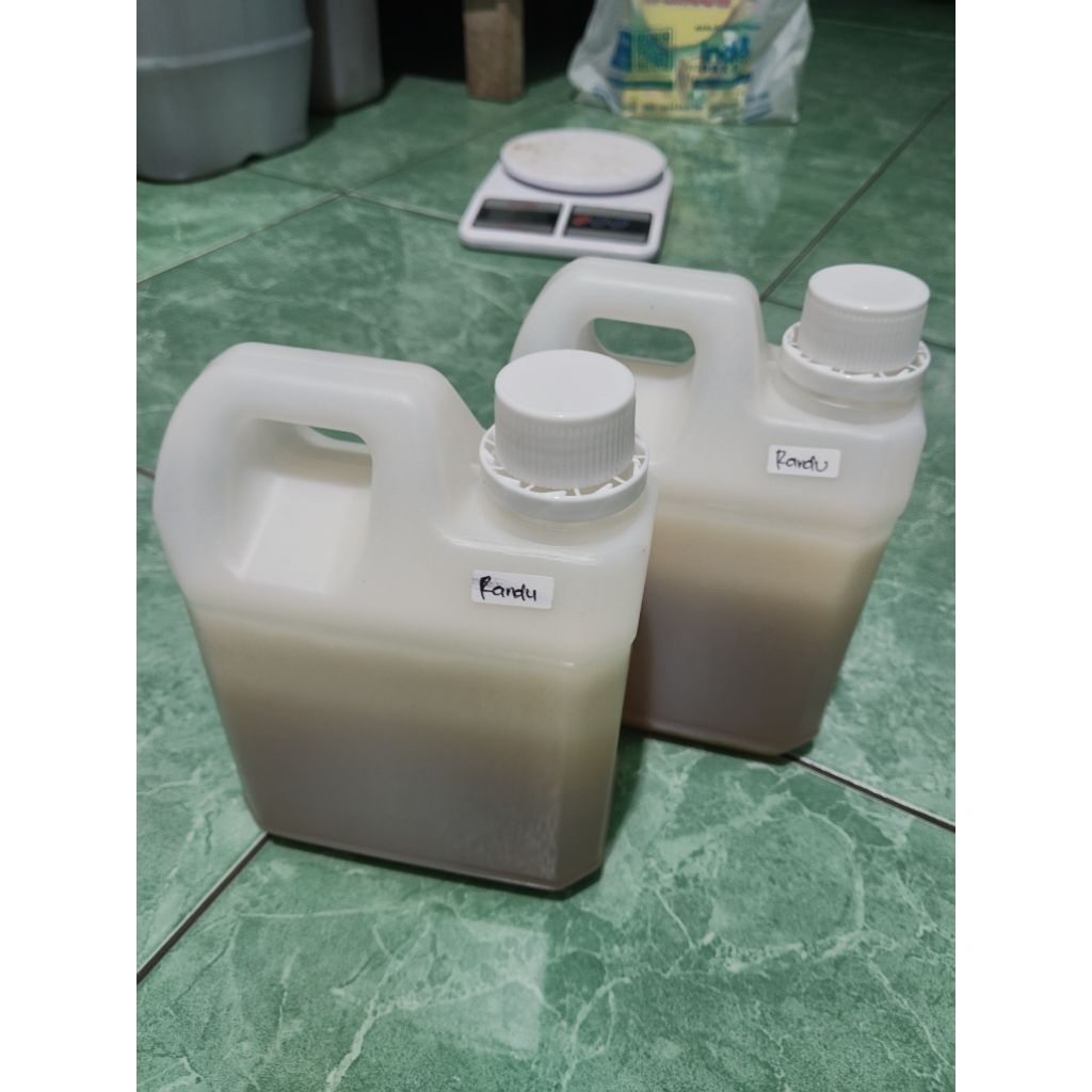 

MADU MURNI NEKTAR BUNGA RANDU 1KG