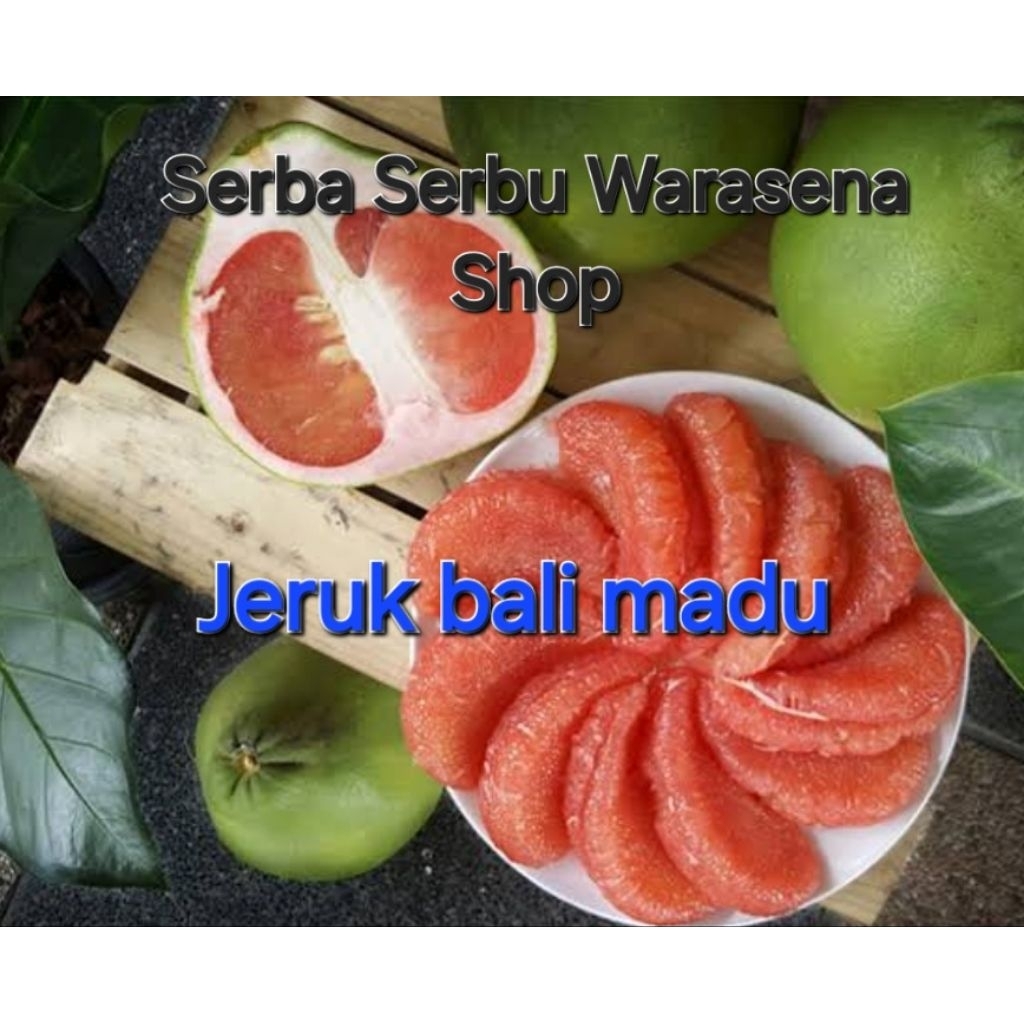 

Buah jeruk bali simadu kwalitas super harga per 1 buah