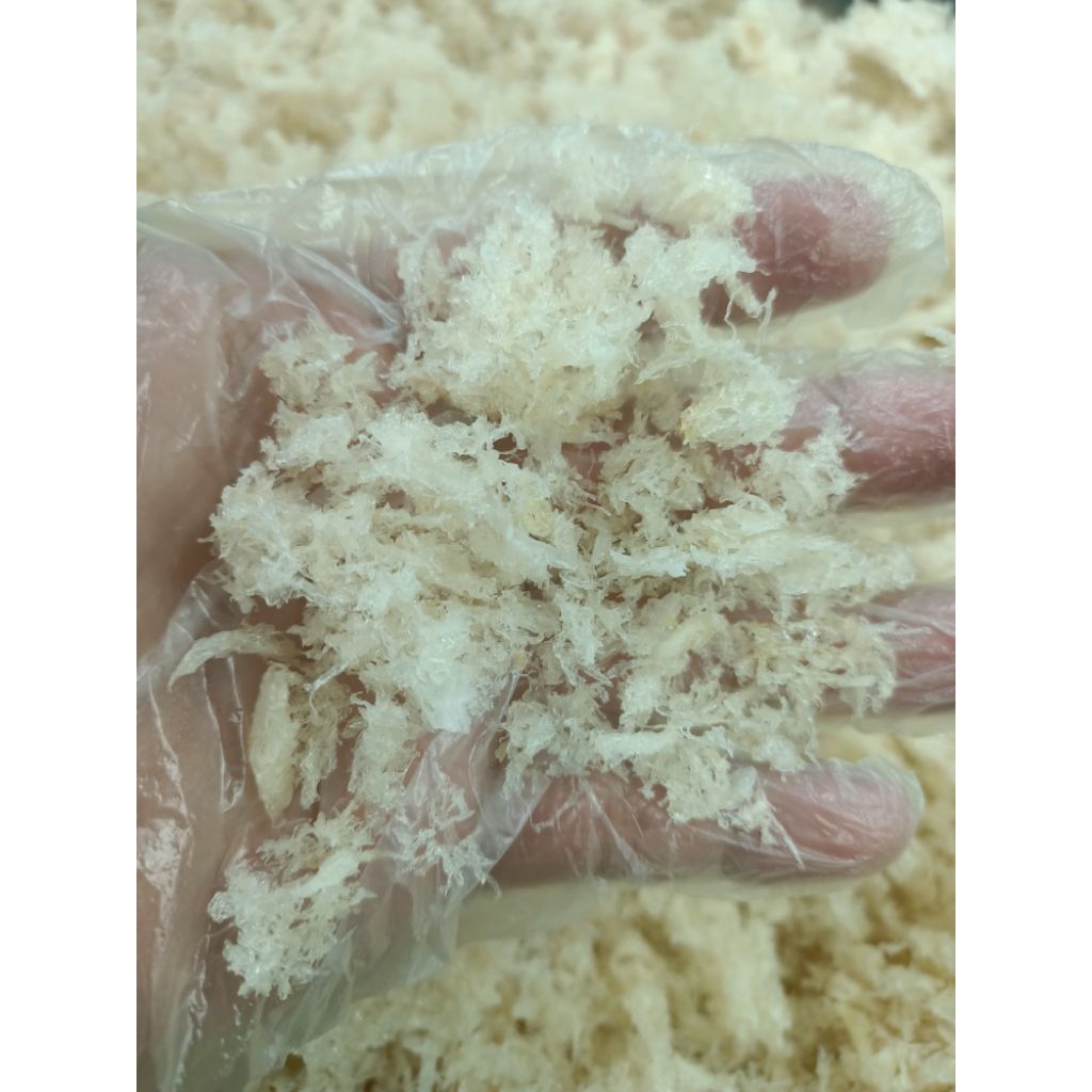 

250GR SARANG BURUNG WALET HANCURAN ORIGINAL - KUALITAS PREMIUM