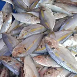 

ikan selar