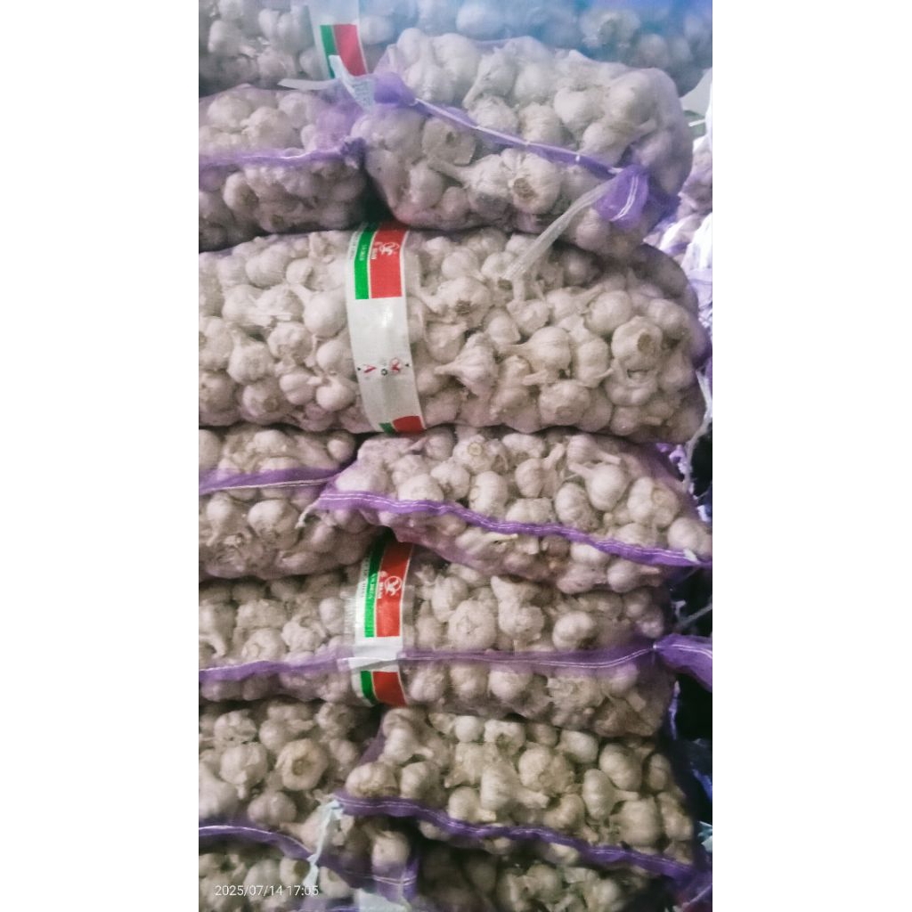 

bawang putih kating ½ kg