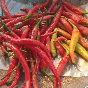 

Cabe campur ( kriting+ rawit merah)