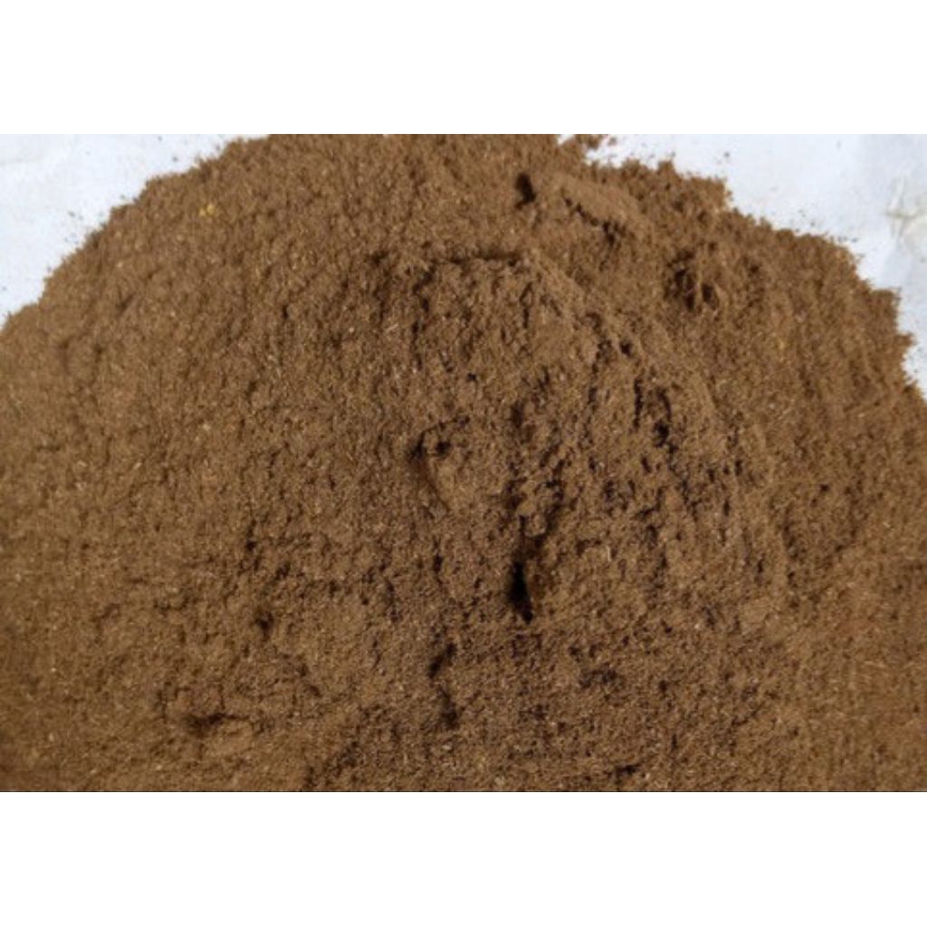 

bubuk daun ketapang merah 1kg