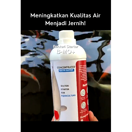 BMICRO+ BACTERI STARTER FOR KOI 1L