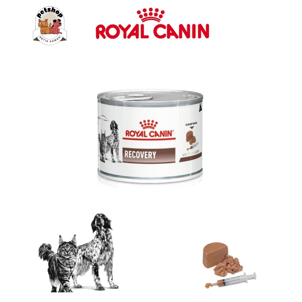 Royal Canin Wet Food Recovery Kaleng