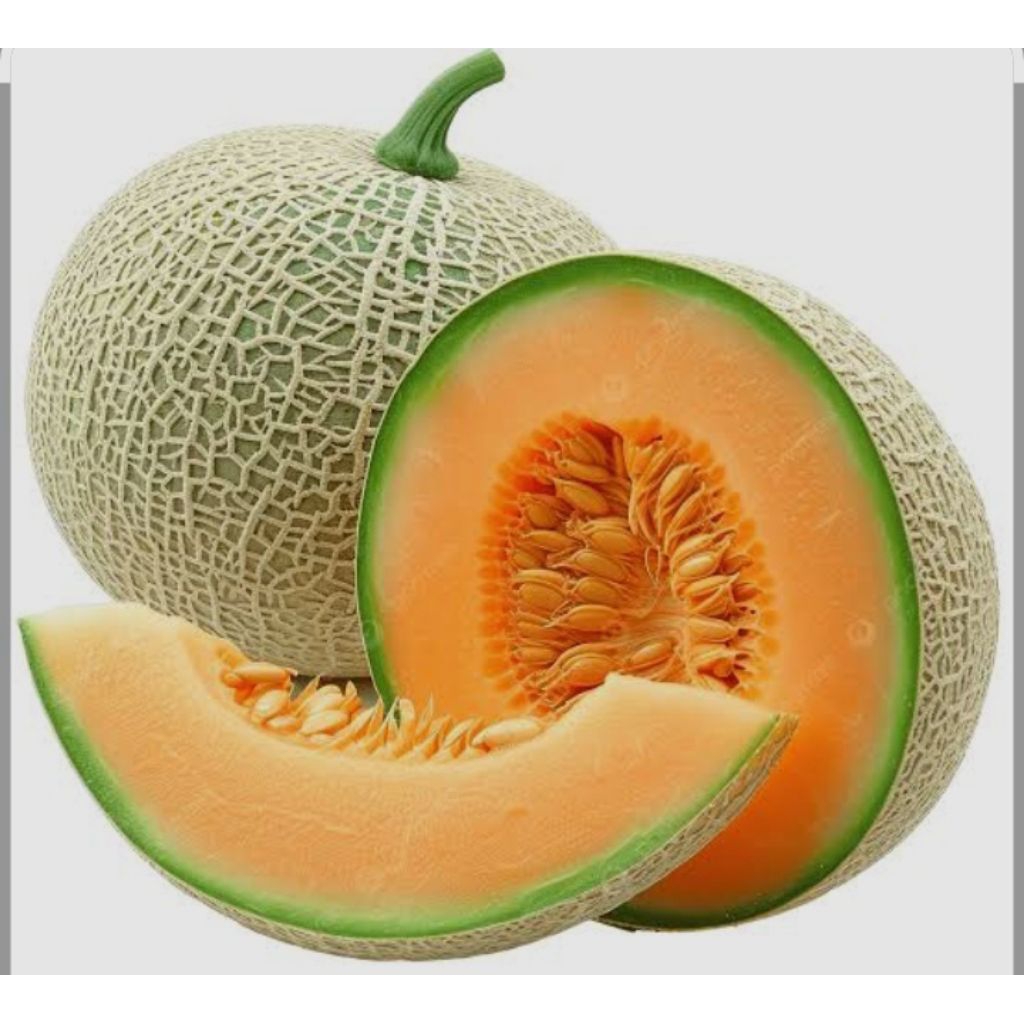 

bush buah melon, BUAH MELON