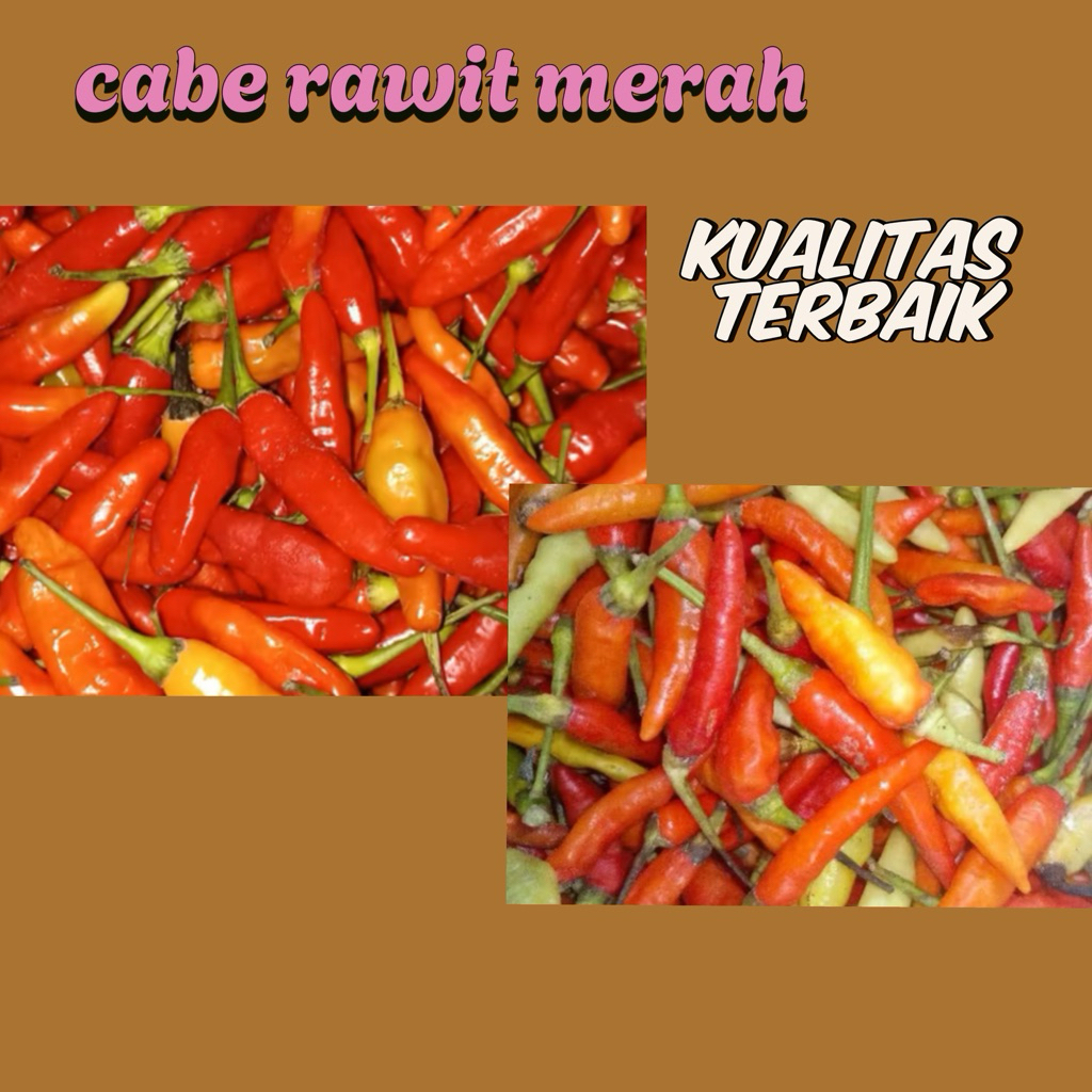 

Cabai / Cabe rawit merah fresh 1 kg