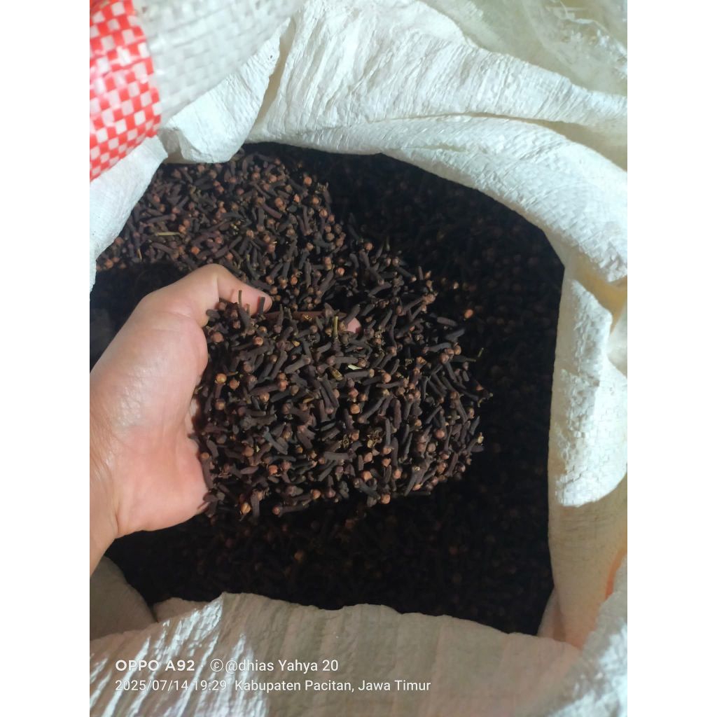 

cengkeh lokal Pacitan 100 gram| cengkeh kering
