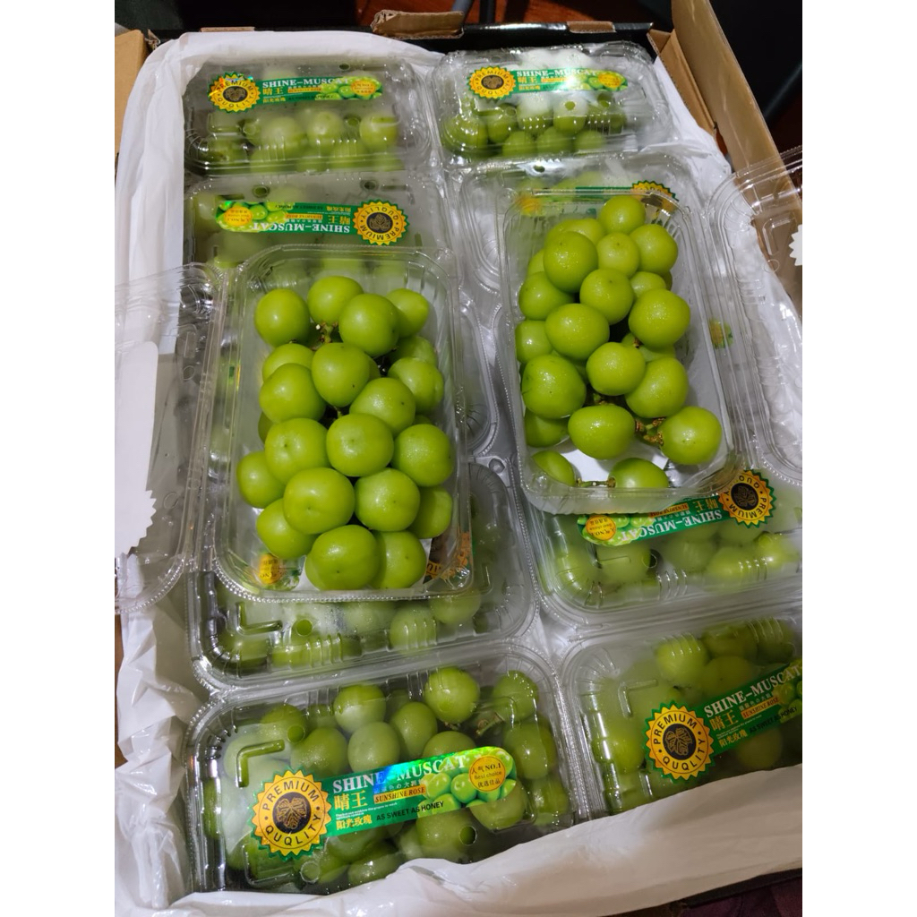 

Anggur Muscat/Manis/ perBox 500gr