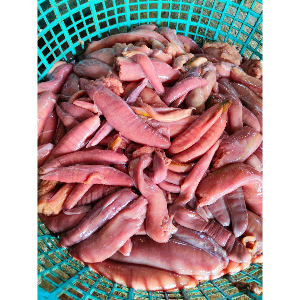 

Telur Ikan Tuna RJ Fish 500gr