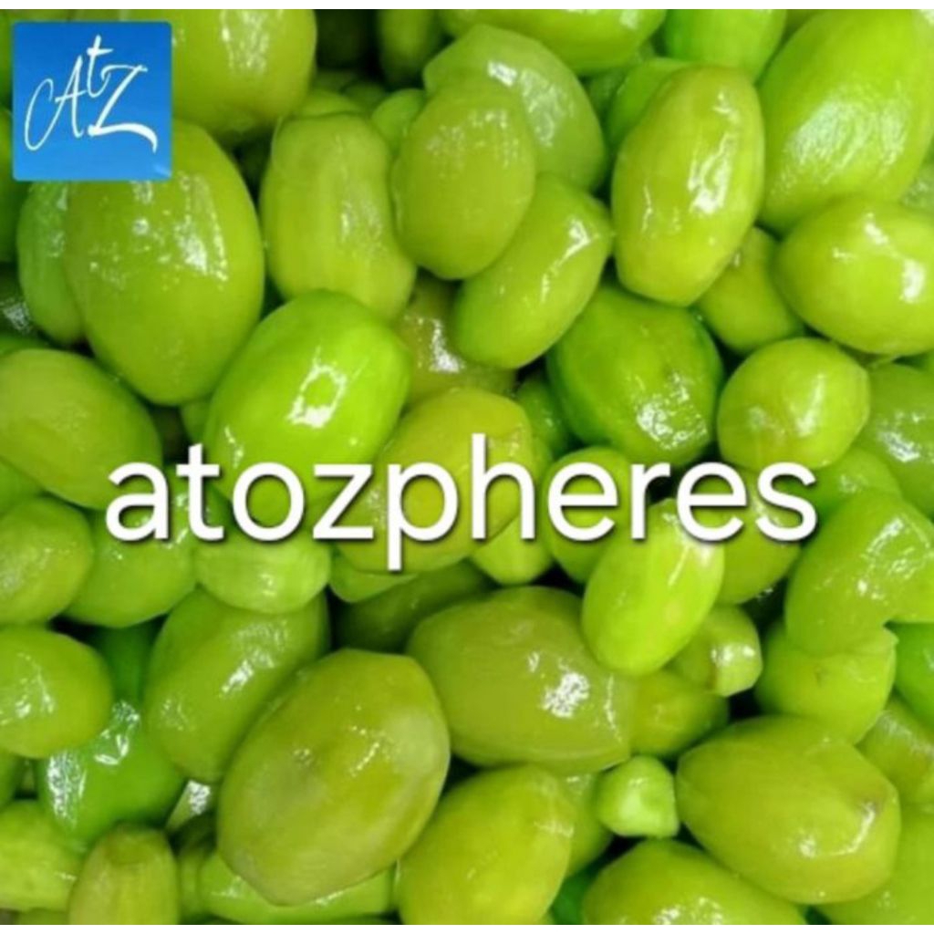 

Manisan buah kedondong dondong kedongdong dongdong basah bangkok taiwan hijau kuning Medan 250g