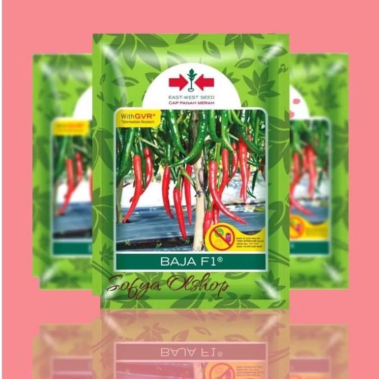 BENIH BIBIT CABE MERAH BESAR BAJA F1 1500 BUTIR KEMASAN PABRIK PANAH MERAH