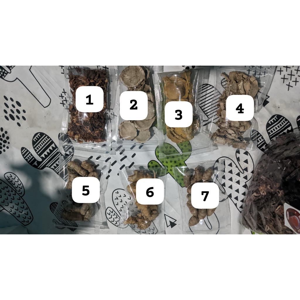 

lempuyang segar fresh dari galian