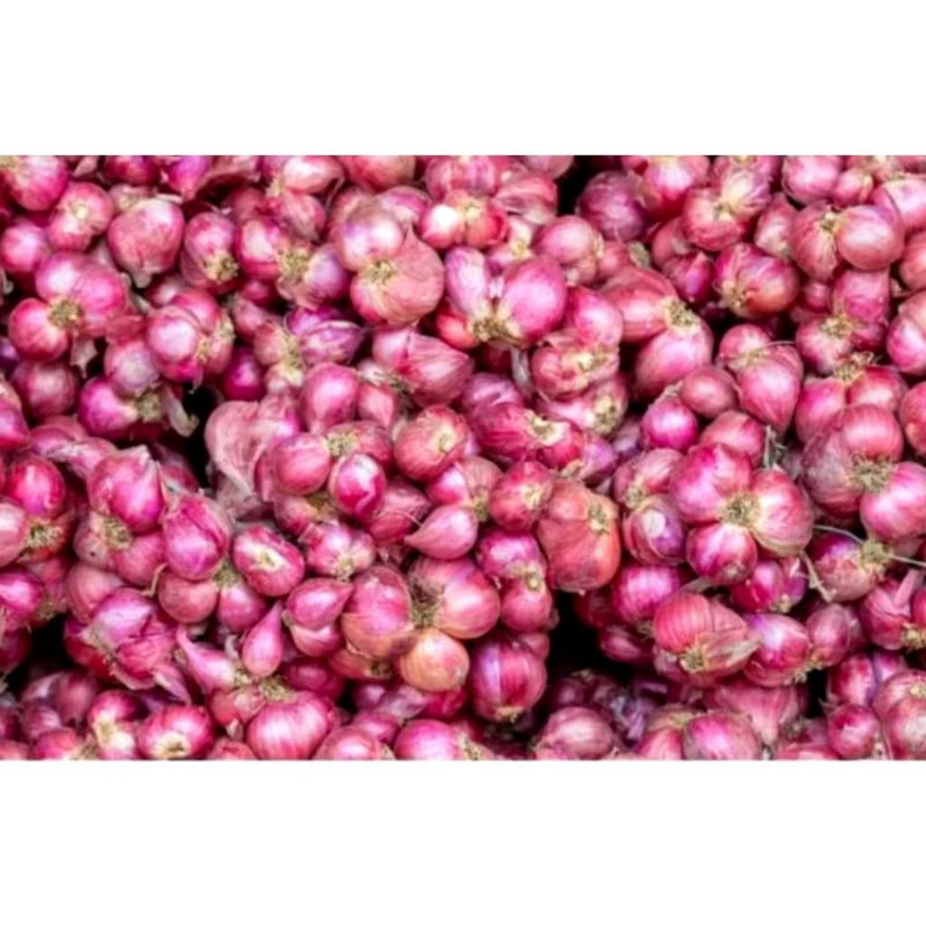 

BAWANG MERAH BALI KARET KERING