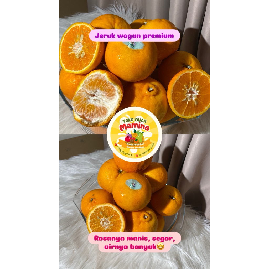 

Jeruk Mandarin Wogan / Wokam