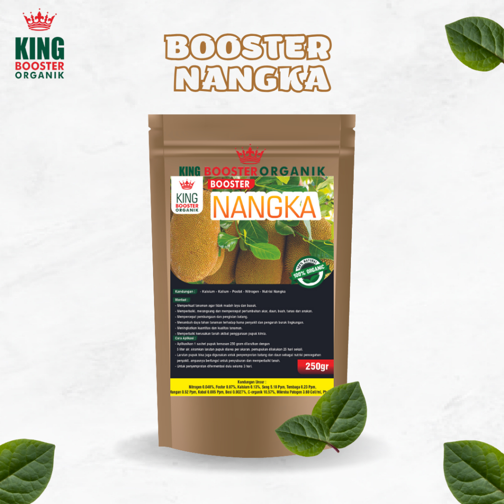 Pupuk Booster Buah Nangka Pupuk Nangka Cepat Berbuah Pupuk Perangsang Buah Nangka Pupuk Pelabat Buah