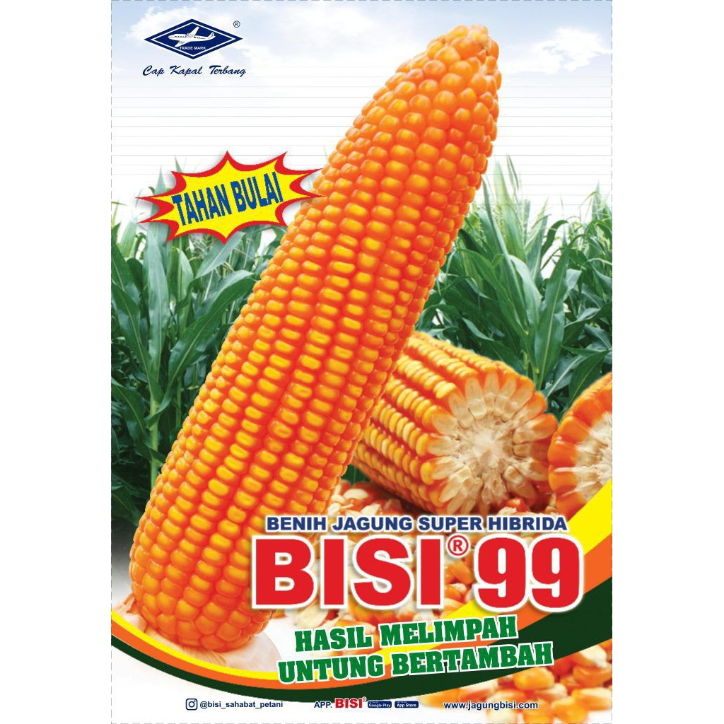 [COD]Benih Biji Jgung Hibrida Bisi-99 netto 1kg