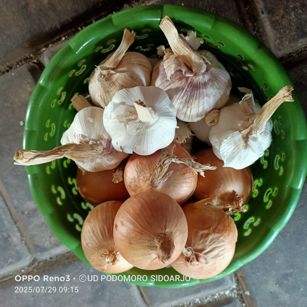 

paket bawang putih dan Bombay kemasan plastik bawang putih kotor sico dan Bombay bombai