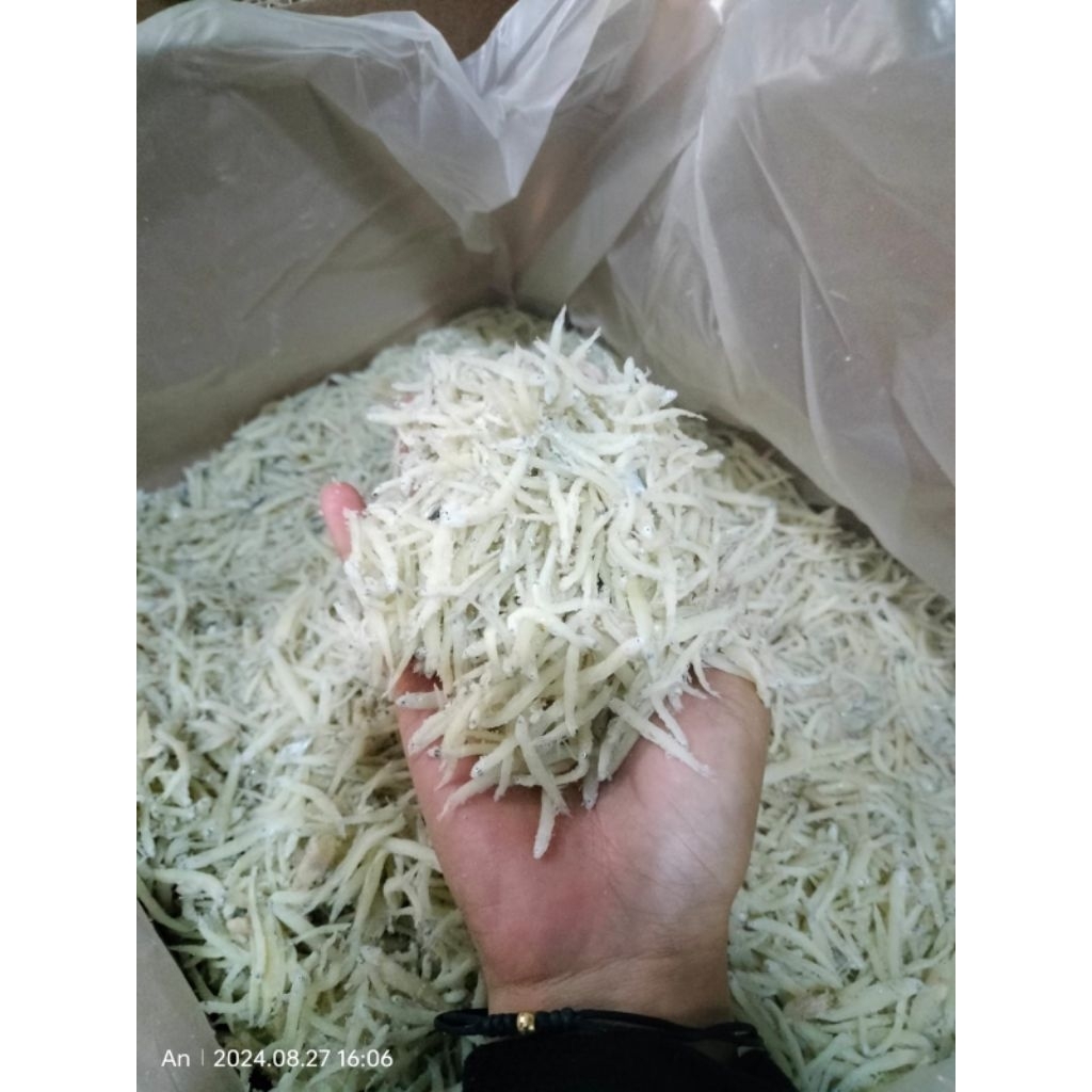 

Ikan teri medan teri touge teri nasi ikan teri rebusan