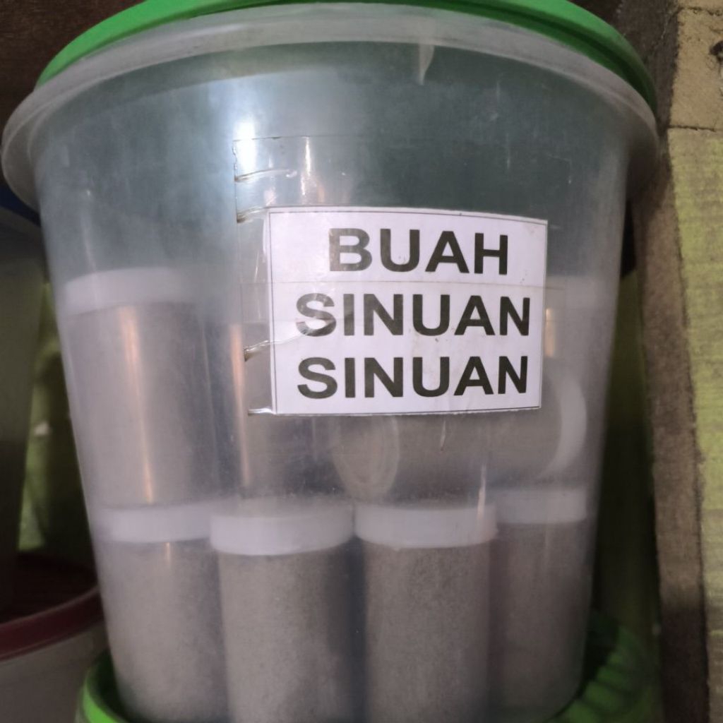 

Buah Sinuan-Sinuan