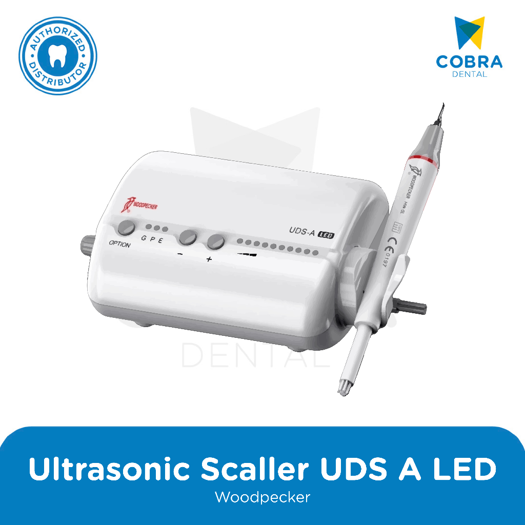 Ultrasonic Scaler LED Scaller Woodpecker