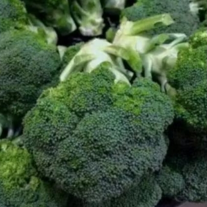 

brokoli 500gran