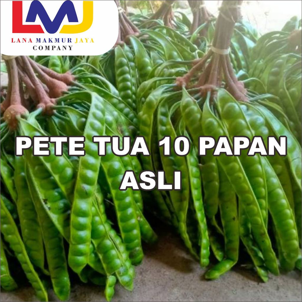 

PETE 10 PAPAN / PETE TUA