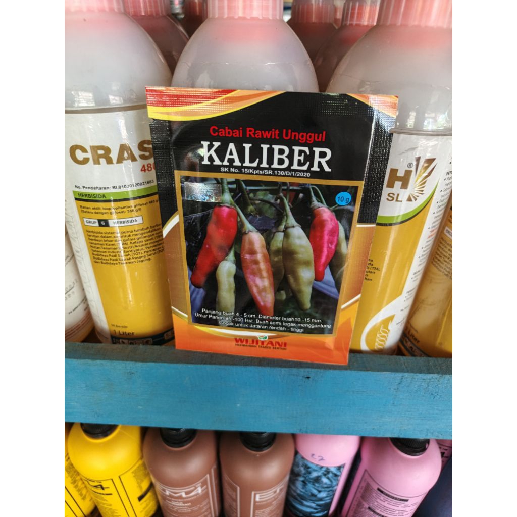 

cabai rawit unggul kaliber