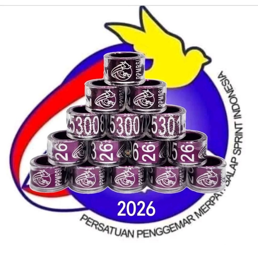 RING PPMBSI 2026