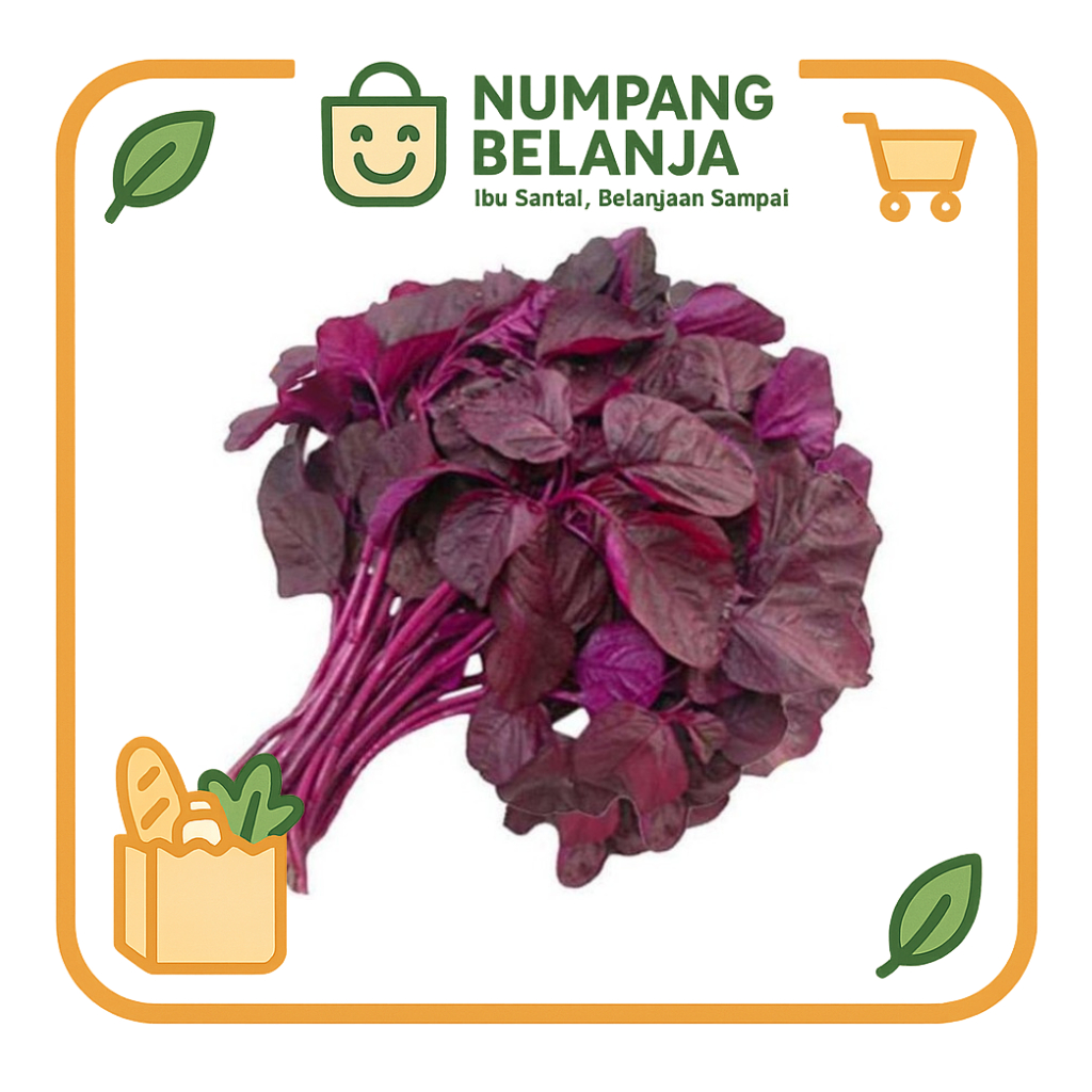 

bayam merah sayur fresh [150g]