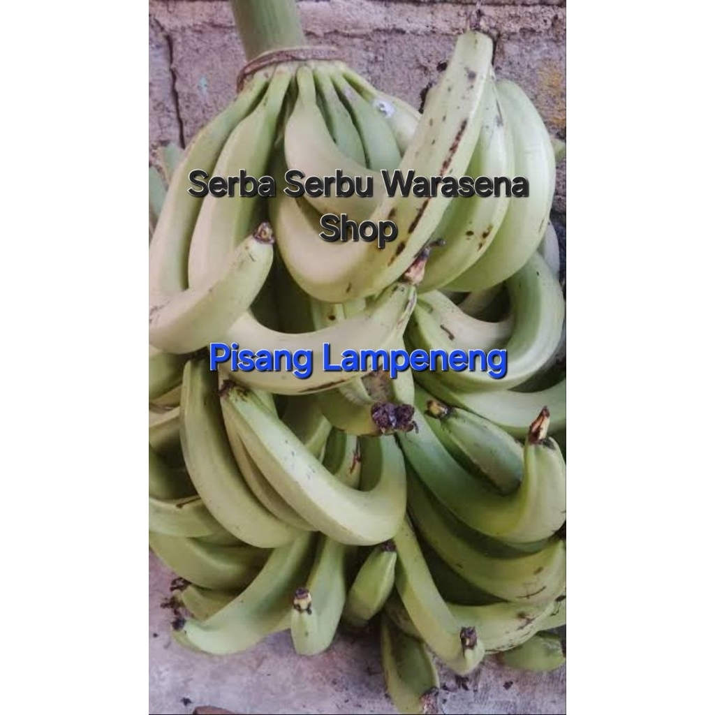 

Pisang lampeneng super tua matang