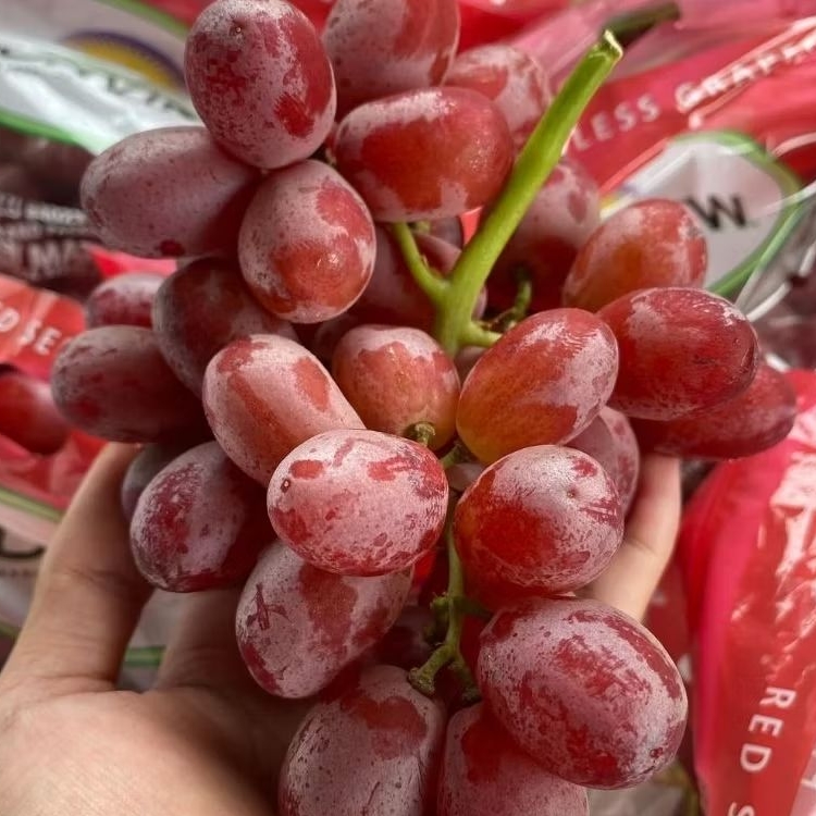 

ANGGUR RED PERU MANIS IMPORT IGNACIOBOX