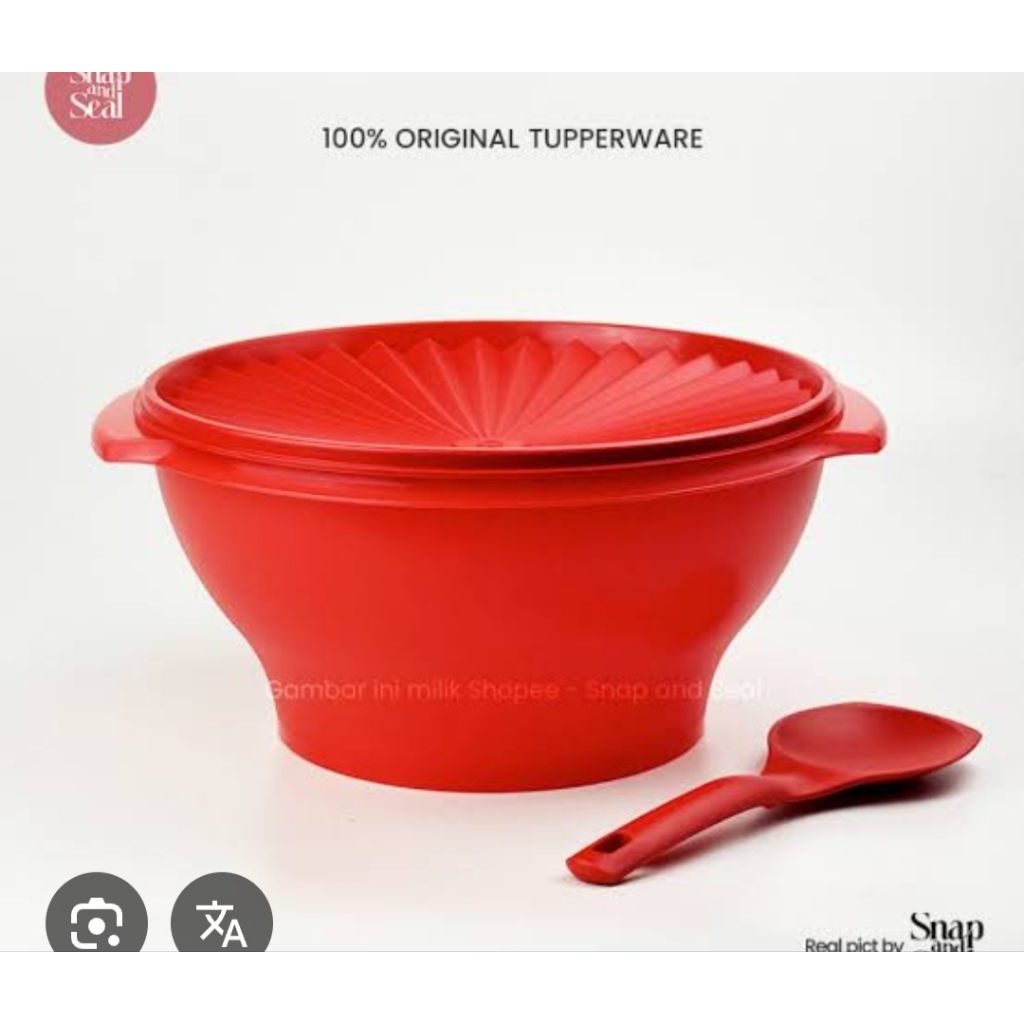 rice bowl Tupperware