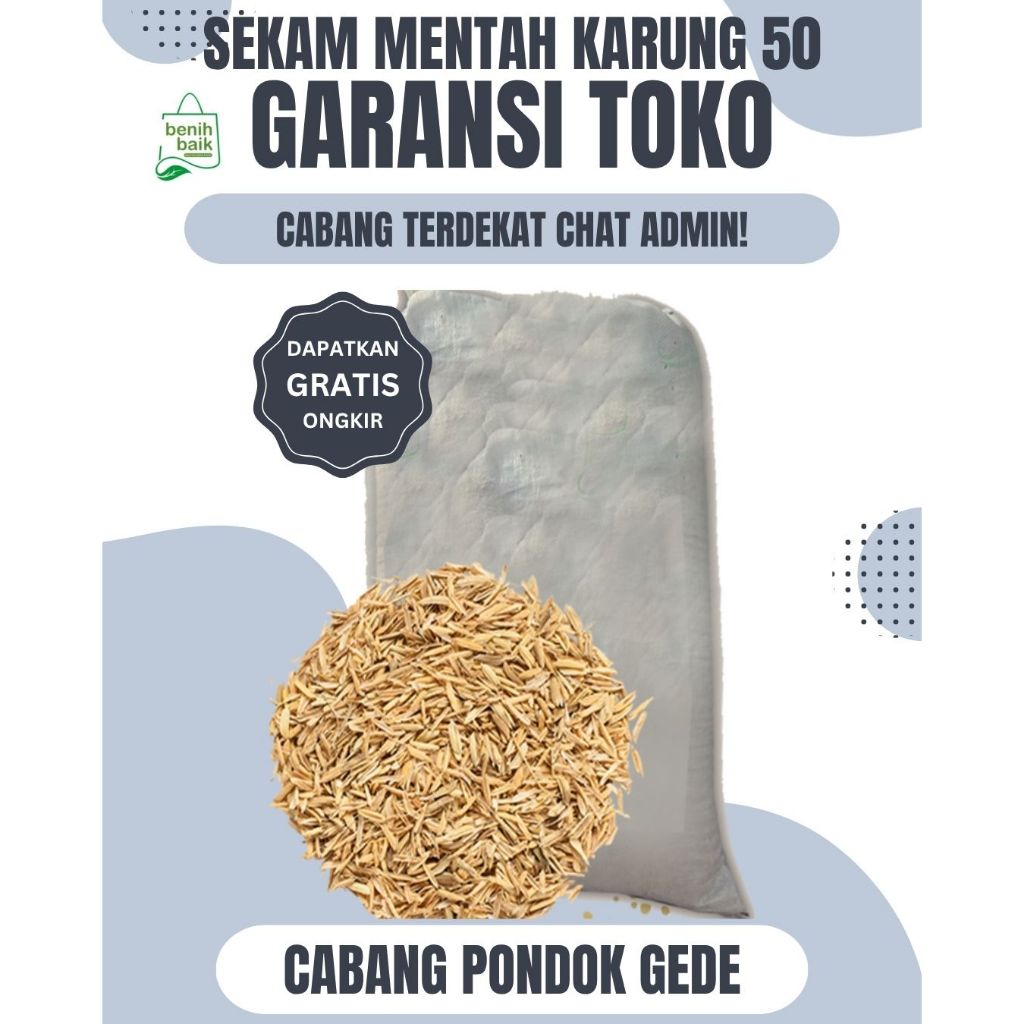 SEKAM MENTAH (KARUNG) GROSIR PONDOKGEDE