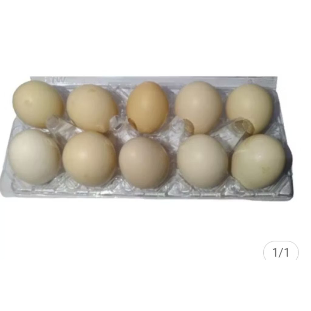 

telor ayam kampung 1 pcs