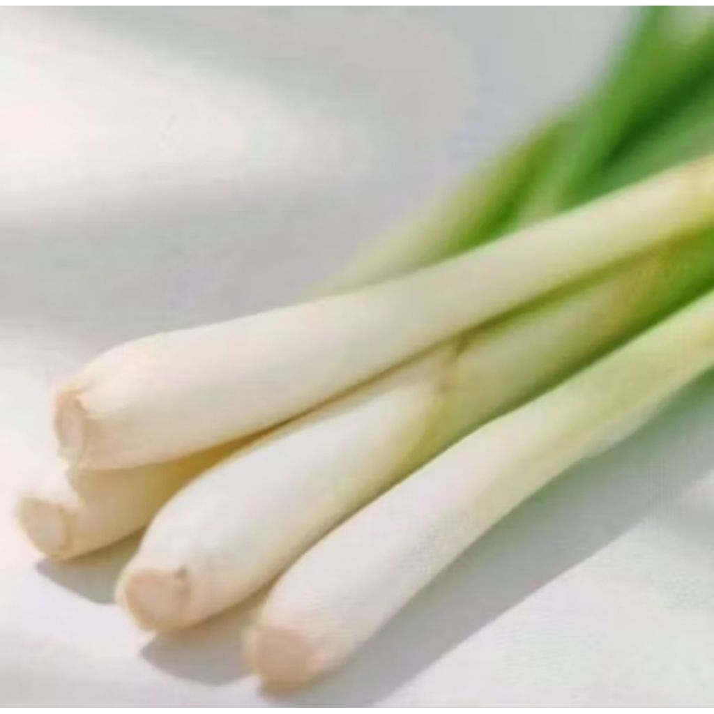 

serai segar besar Jumbo grade A 1kg dipetik langsung dari sawah