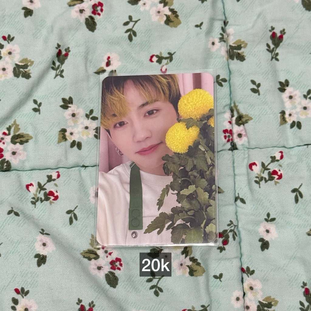 mashiho treasure blooming pc photocard pob
