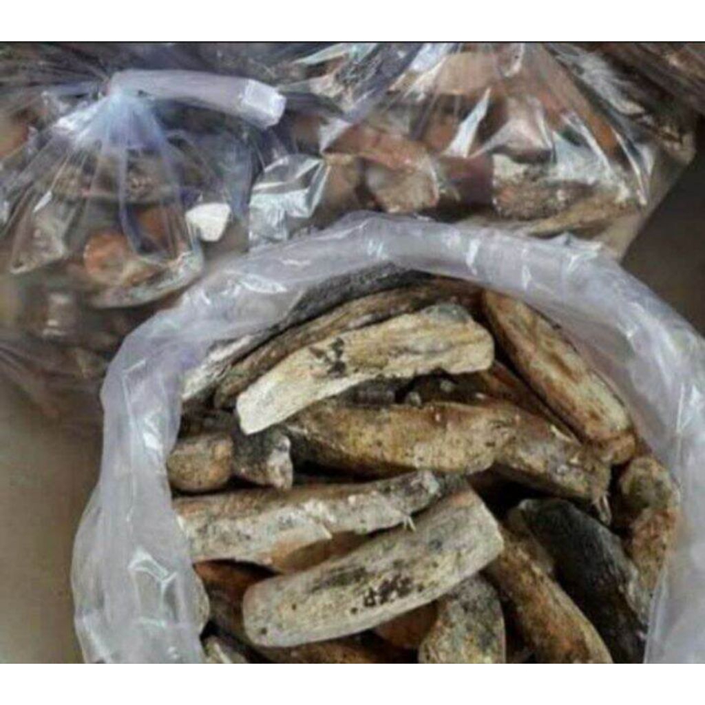 

gaplek singkong telo 1kg / ubi singkong kering