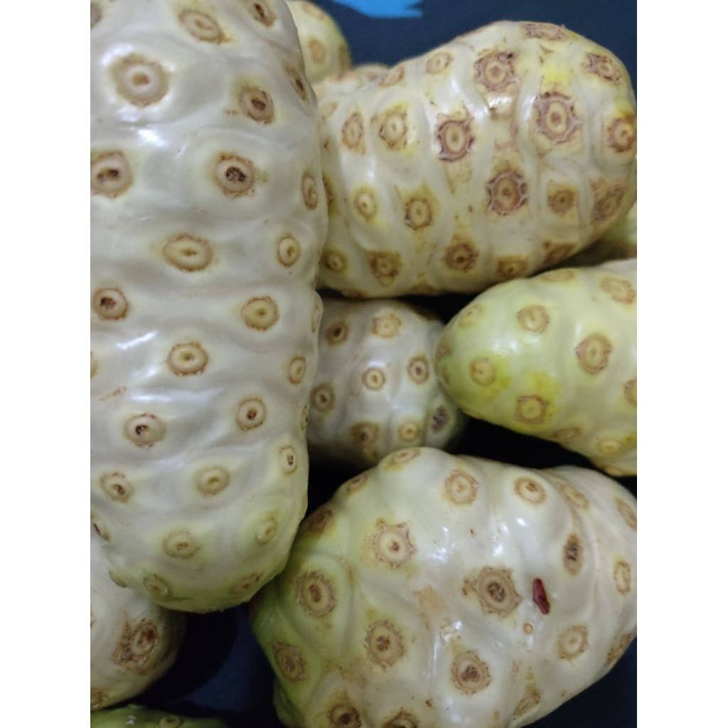 

buah mengkudu/ buah pace per1kg