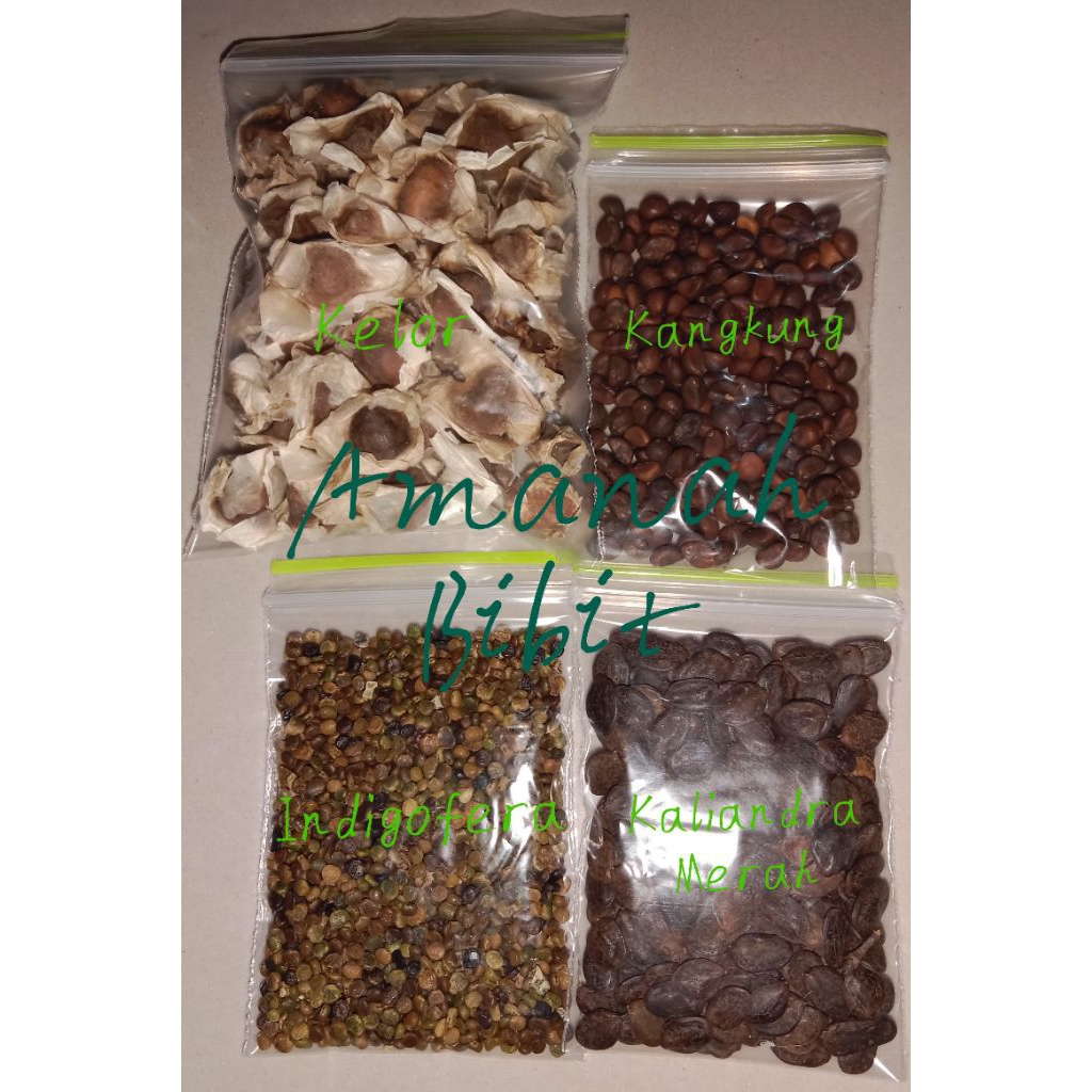 Biji Benih Bibit Indigofera Kaliandra Merah Kelor Kangkung
