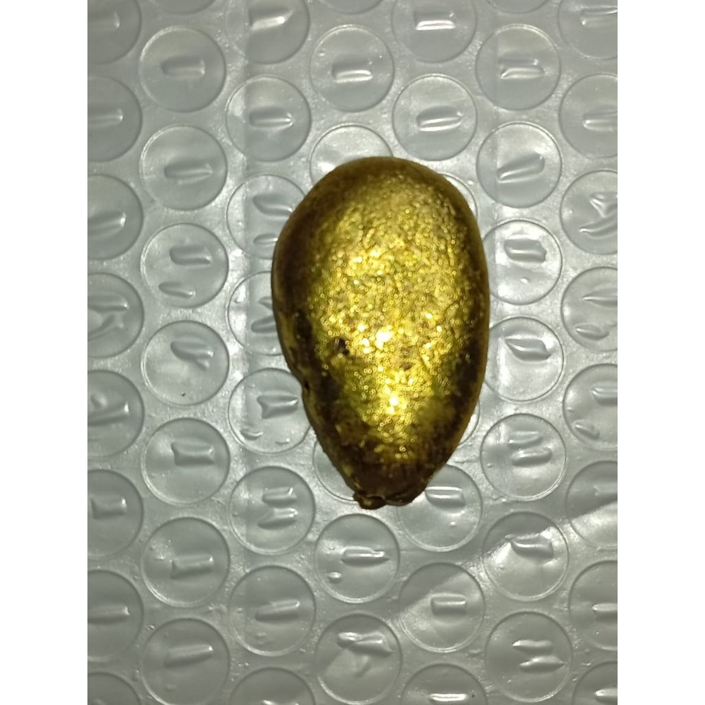 temuan nuget logam emas alam besar $$