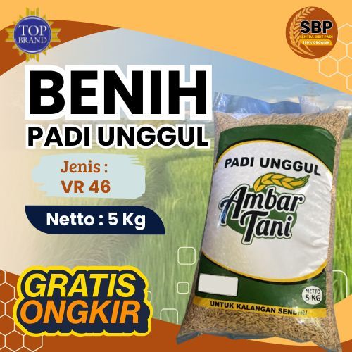 BENIH PADI UNGGUL VR46 vr 46 VELOZ RICE ORIGINAL KUALITAS TERJAMIN GALUR LOKAL BERAT 5KG