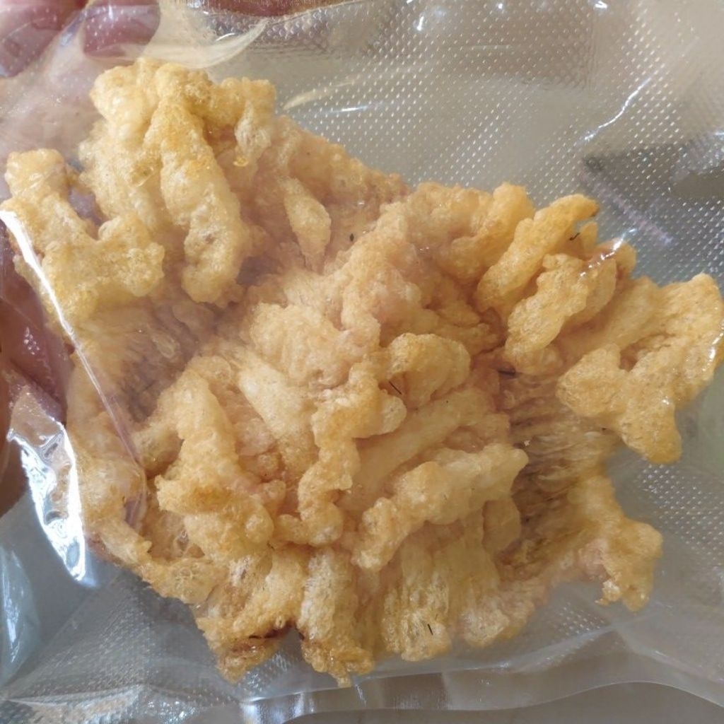 

Hupio/lambung perut ikan mayong .